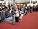Heimtiermesse 2009   073